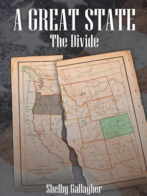 cover image of The Divide